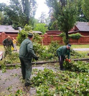Київ: Учорашня негода не стала несподіванкою - на неї чекали і вчасно усунули наслідки