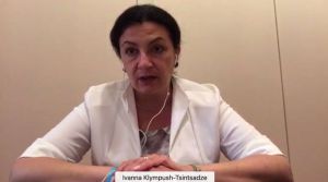Відбулося неформальне засідання Бюро Парламентського Комітету асоціації Україна-ЄС
