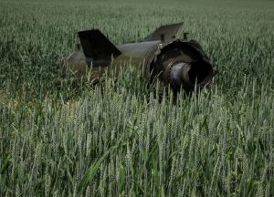 Непрямі втрати у сільському господарстві оцінюються у 23,3 млрд дол. США