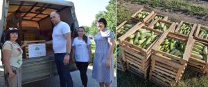 Виростили ранні овочі для потреб ЗСУ
