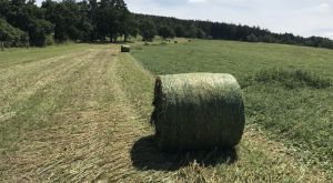Старт косовиці - нелегке завдання