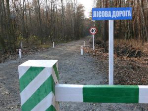 Прокладають дороги серед дерев