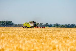 Комбайни стають мішенню для танків