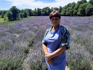 Царина лаванди, меду й гречки