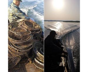 На озері Світязь фахівці виявили та вилучили безгосподарські ятері