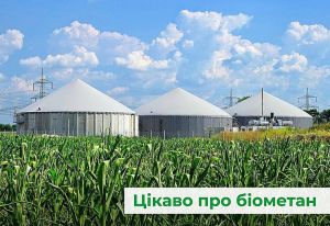 Важливо, щоб у діалозі щодо виробництва біометану була присутня Україна
