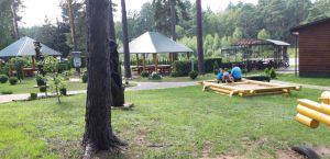 Березнівські лісівники —  майстри мальовничих пейзажів
