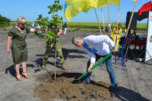 Калинове коло пам’яті