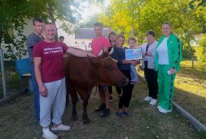 Подарували переселенцям корову Джавеліну