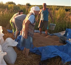 У тилу мобілізувалися по-максимуму