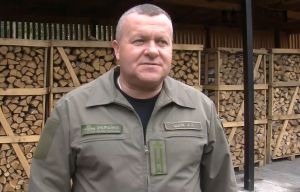 Перевагу віддають дровам і торфобрикетам