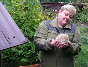 «У вас тут, як у казці...» Родина врятувала понад сто тварин 