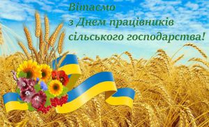 З маленького хлібного зернятка починається сила нашої держави