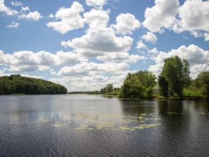 Створять заказник «Ріка-Герой Ірпінь»