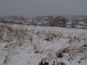 Знову за землю гроші: під підозрою сільський голова