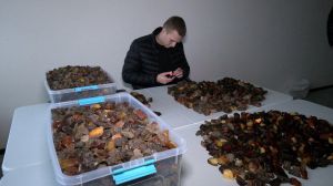 За три роки легальний видобуток бурштину на Рівненщині зріс у 15 разів