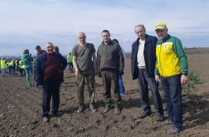 Захисні лісосмуги потрібні