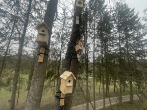 Для збереження біорізноманіття столиці