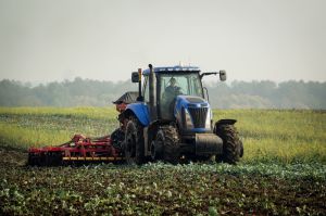 ​Весняна сівба: останній акорд