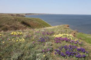 На Миколаївщині збільшено площу природно-заповідного фонду