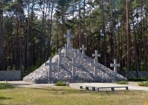 Без вини винні