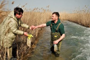 Морська варта одеських біологів