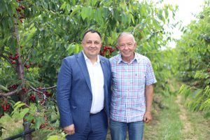 Фруктові сади потребують системного підходу