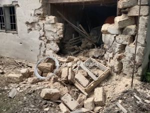 Загарбники розстріляли чотирьох корів
