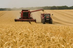 Зібрано перший мільйон