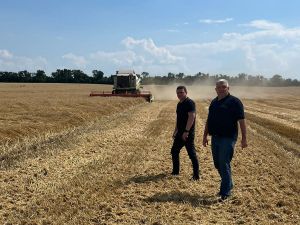 Попри обстріли жнива на Донеччині тривають