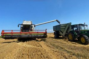Івано-Франківщина: Жнива як випробування