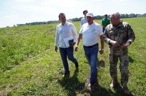Сумщина: Не можна спокійно дивитися, як гине вирощене