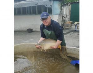 Розводься, рибко, велика й велика