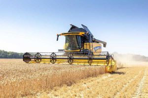Ранні зернові: вистачить не тільки собі