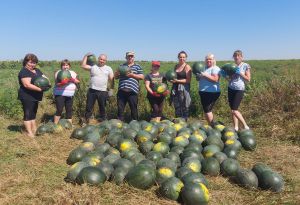 Порадували смугасті велетні з «Саду Перемоги»