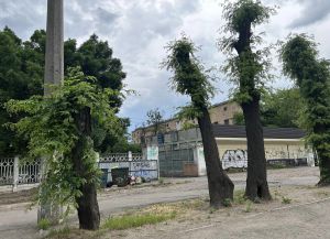 Чи не стане місто пустелею?