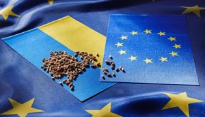 Експорт зерна та олійних: не заборонили, але й не дозволили