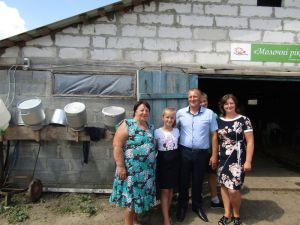Чи наповнять молочні ріки сімейні ферми