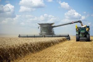Погода не дає відпочивати