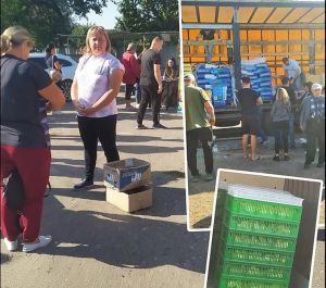 Кожному домогосподарству - тридцять курчат