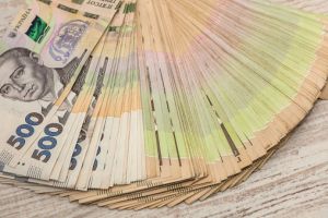 Використання бюджетних коштів розглядають «крізь лупу»