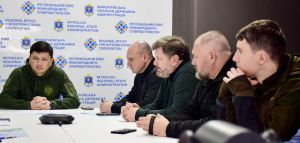 Взаємодія між законодавчою та виконавчою владою
