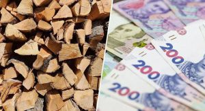Комусь уріжуть соціальні виплати, а комусь допоможуть із пічним паливом 