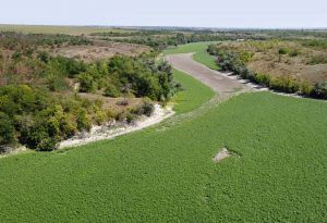 Запобігти дерибану земель Каховського водосховища