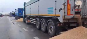 Знищення нашого зерна на кордоні: скільки втратять брати-поляки, якщо перекрити їм імпорт до України?  