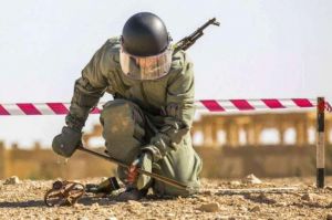 Гуманітарне розмінування: з початку року обстежено 53,7 тис. га сільськогосподарських земель