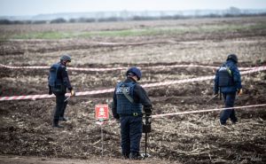 Фермери отримають 80 відсотків компенсації за розмінування земель