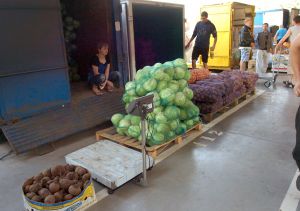 Ціни кусаються: як ми виживаємо у 2024 році