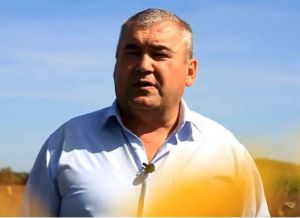 Поле додає наснаги та оптимізму