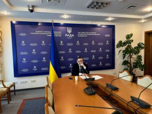 У Комітеті зовнішньої політики продовжується робота з розширення співпраці з державами Латинської Америки, Карибського басейну та Африки